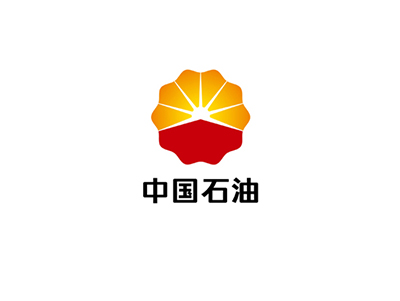 石油项目案例：中国石油